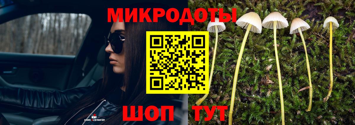 закладки  Вход с VPN  Нефтеюганск  Галлюциногенные грибы Cubensis 
